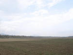 0903100831.jpg