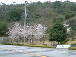0404031257.jpg