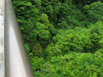 0905231424.jpg