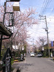 0904081217.jpg