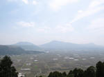 0904081322.jpg