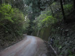 0904090640.jpg