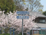 0904091240.jpg