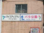 0904091337.jpg