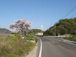 0904091634.jpg