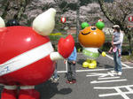 0904121353.jpg