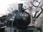 2009_03.jpg