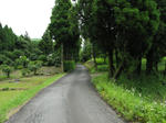 0906281057.jpg