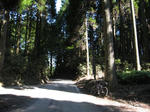 0909191008.jpg