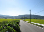 0909200925.jpg
