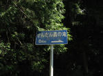 0909201232.jpg