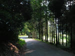 0909211559.jpg