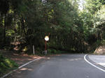 0909261309.jpg