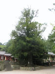 0909261600.jpg