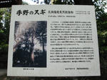 0910111307.jpg