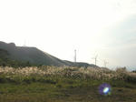 0910111633.jpg