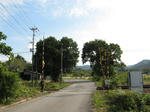 0910121444.jpg