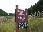0910241308.jpg
