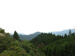 0910241311.jpg