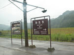 0910251253.jpg
