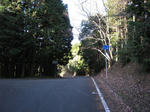 1001041059.jpg