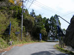 1004171315.jpg