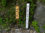 1004181213.jpg