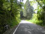 1005031032.jpg