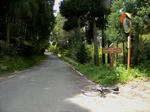 1005031048.jpg