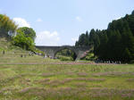 1005031155.jpg