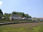1005031221.jpg