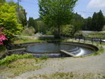 1005031300.jpg