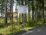 1005031342.jpg