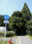 1005031355.jpg