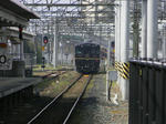 1005040951.jpg