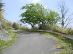 1005041340.jpg
