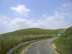 1005041345.jpg