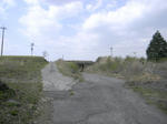 1005041409.jpg