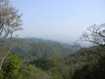 1005041534.jpg