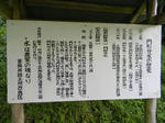 1008141542.jpg