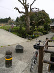 1104171143.jpg