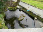 1104171145.jpg