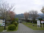 1104171217.jpg