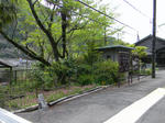 1104181125.jpg