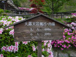1105061416.jpg