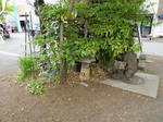 1105071131.jpg