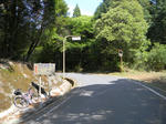 1105151517.jpg