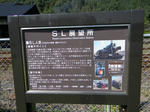 1110161256.jpg