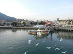 1201021632.jpg