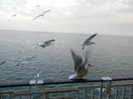 1201021636.jpg